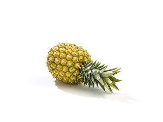 Ananas (Ananas sativus), Studioaufnahme - SRSF000261