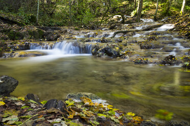 Deutschland, Baden-Württemberg, Schwäbische Alb, Brühltal, Fluss Urach - STSF000200