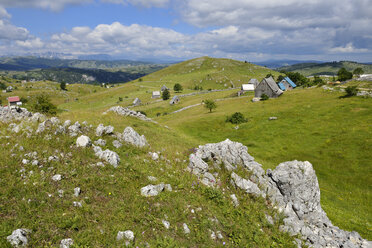 Montenegro, Crna Gora, Sherperd villige Crna Gora, Durmitor-Nationalpark - ES000707