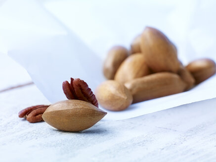 Pecan nuts, studio shot - SRSF000236