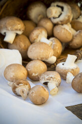 Fresh brown mushrooms (Agaricus), basket and napkin on wooden table, studio shot - LVF000303