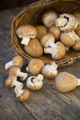 Frische braune Pilze (Agaricus) und ein Korb auf einem Holztisch, Studioaufnahme - LVF000302