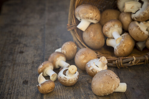 Frische braune Pilze (Agaricus) und ein Korb auf einem Holztisch, Studioaufnahme - LVF000301