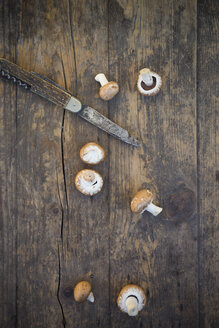 Frische braune Pilze (Agaricus) und ein Taschenmesser auf einem Holztisch, Studioaufnahme - LVF000299