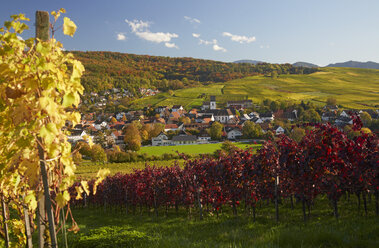 Deutschland, Baden-Württemberg, Weinberge bei Pfaffenweiler im Markgraflerland - DHL000158