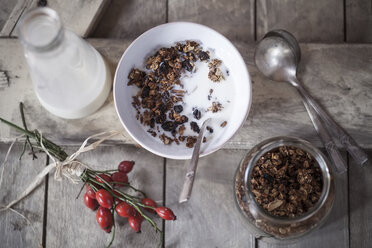 Schale mit Müsli aus gebackenen Haferflocken, Nüssen und Rosinen, Flasche Milch und Hagebutten auf Holzbrett - SBDF000338