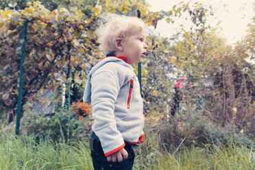 Germany, Bonn, Baby boy exploring garden - MFF000617