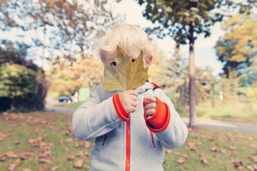 Deutschland, Bonn, Kleiner Junge bedeckt Gesicht mit herbstlichem Blatt i - MFF000615