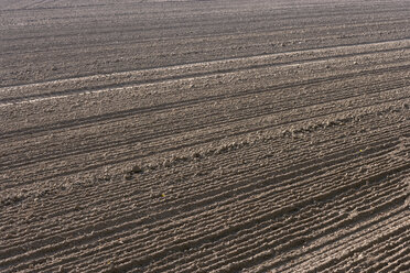 Germany, Bavaria, ploughed soil - TCF003668