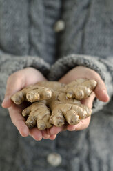 Hands holding ginger root (Zingiber officinale), close-up - ODF000664