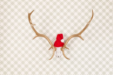 Goldlackiertes Geweih mit Weihnachtsmannmütze auf Tapete, Studioaufnahme - DRF000272