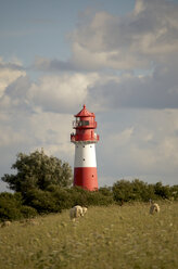 Deutschland, Schleswig-Holstein, Flensburger Förde, Leuchtturm Falshoft - JEDF000030