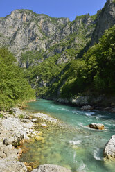 Montenegro, Crna Gora, Durmitor-Nationalpark, Fluss Tara - ES000731