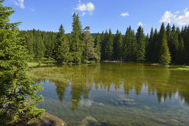 Montenegro, Durmitor-Nationalpark, Fluss Otoka - ES000730