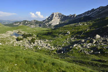 Montenegro, Durmitor National Park, Alpine pasture at Valoviti Do - ES000737