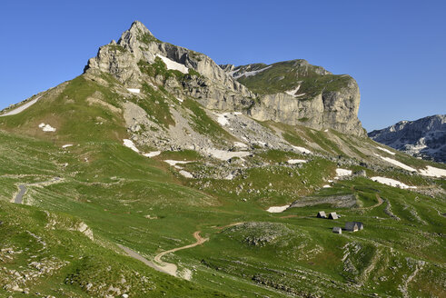 Montenegro, Berg Sedlena Greda, Durmitor-Nationalpark - ES000728