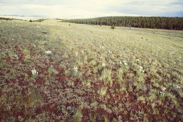 USA, Colorado, Nature and landscape near Salida - MBEF000844