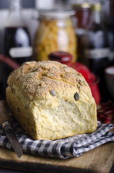 Selfmade pumpkin seed bread, studio shot - ODF000678