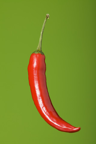 Rote Paprika Capsicum), Studioaufnahme, lizenzfreies Stockfoto