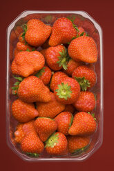 Plastic bowl of strawberries (Fragaria), studio shot - WSF000023