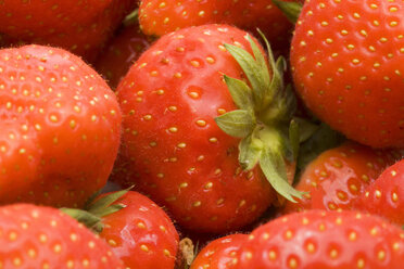 Strawberries (Fragaria), studio shot - WSF000024