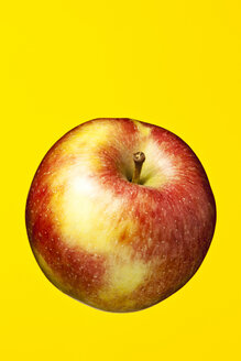 Einzelner Apfel (Malus), Studioaufnahme - WSF000026