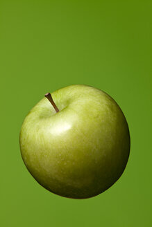 Grüner Apfel (Malus), Studioaufnahme - WSF000027