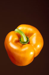 Orangefarbene Paprika (Capsicum), Studioaufnahme - WSF000028