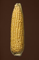 Peeled corn cob, studio shot - WSF000032