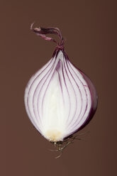 Hälfte einer roten Zwiebel (Allium cepa), Studioaufnahme - WSF000041