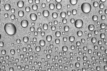 Water drops on metal sheet - STKF000556