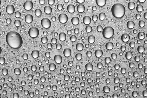 Water drops on metal sheet - STKF000556