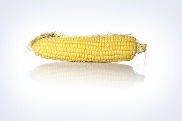 Corn cob, close up - STKF000566