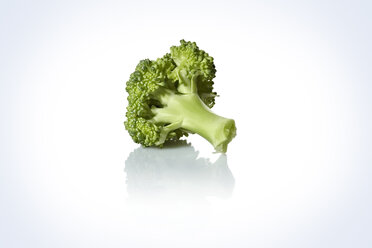 Broccolineröschen, Studioaufnahme - STKF000580