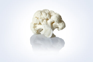 Cauliflower floret, studio shot - STKF000582