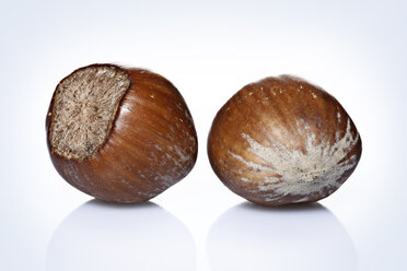 Two hazelnuts, close up - STKF000606
