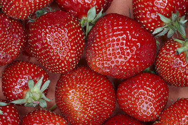 Strawberries, full frame - STKF000640