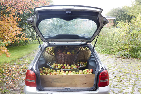 Germany, Schleswig-Holstein, Car boot full of apples - TK000199