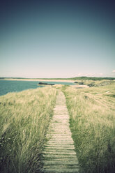 Great Britain, Wales, Ynys Llanddwyn, trail at coast - ELF000601