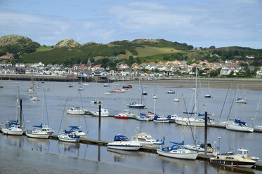 UK, Wales, Marina in the bay of Conwy - EL000610