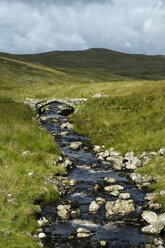 UK, Wales, Gebirgsbach im Snowdonia-Nationalpark - ELF000613