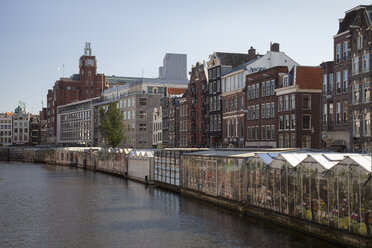 Niederlande, Amsterdam, Blumenmarkt am Stadtkanal - WI000150