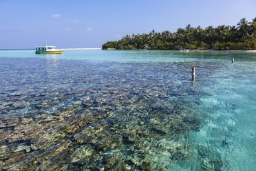 Malediven, Nord Male Atoll, Aisen, Korallen vor einer Insel - AM001205