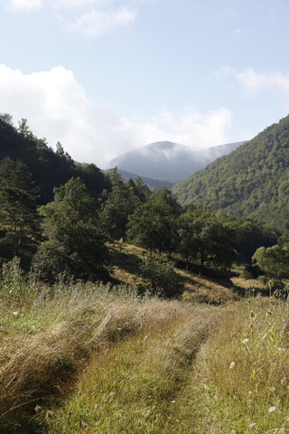 Spanien, Katalonien, Wiese in den Pyrenäen, lizenzfreies Stockfoto