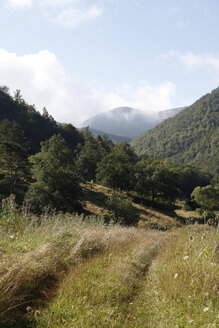 Spanien, Katalonien, Wiese in den Pyrenäen - JMF000250