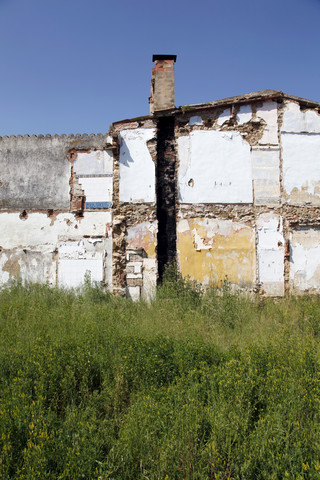 Spanien, Katalonien, Verfallendes Haus mit Pflanzen, lizenzfreies Stockfoto