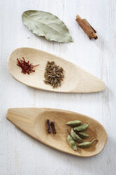 Dried spices on wooden spoons - EVGF000258