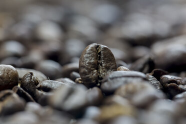 Coffee beans, macro photography - SARF000137