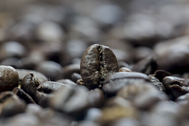 Kaffeebohnen, Makrofotografie - SARF000137