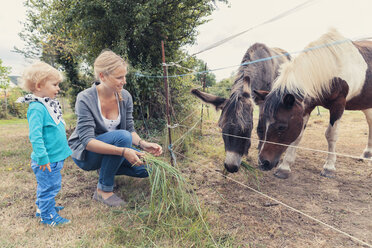 Mother and son feeding a horse with grass - MFF000658